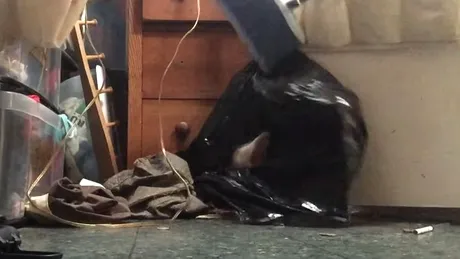 A intrat in debara si a vazut un sac de gunoi cum misca. Femeia asta a intepenit cand a pus mana pe el. Ce se afla inauntru VIDEO