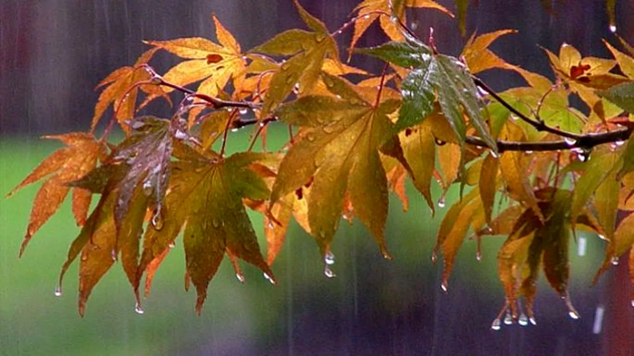 meteo-toamna-ploaie-2-2014-09 