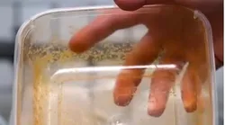 Galerie foto - Poza #4