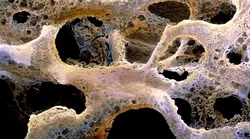 Galerie foto - Poza #4