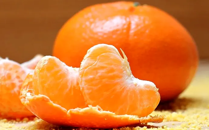 Mandarinele, fructele de aur ale iernii. Cum le alegi pe cele naturale și ce trebuie să faci ca să reziste mai mult. Ajută la siluetă, imunitate și inimă