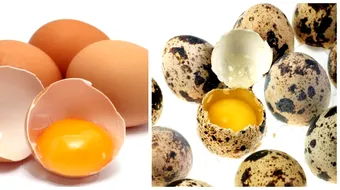 Oul, un aliment controversat! Ce contine un ou de gaina sau de prepelita: efectele pe care le poate avea asupra organismului