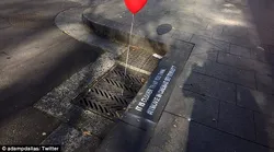 Galerie foto - Poza #1