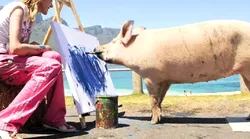 Galerie foto - Poza #4