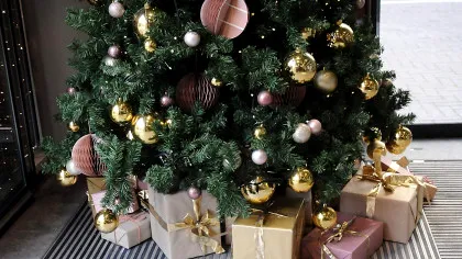 Ce brad alegi de Crăciun, în 2025? Natural, artificial sau în ghiveci? Iată care sunt avantajele și dezavantajele acestora