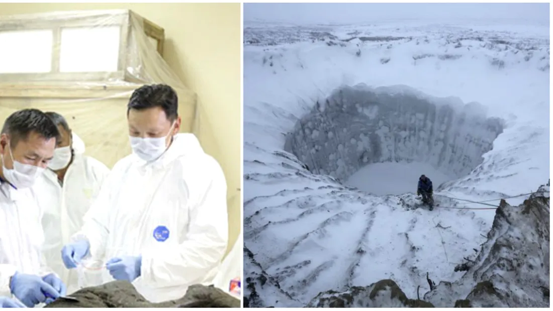 Descoperire uluitoare in Siberia! Ce statea ascuns in stratul urias de gheata. Era acolo de 30 de mii de ani!