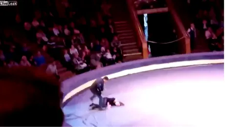 VIDEO! Imagini dramatice! O gimnasta a cazut de la aproape 10 metri inaltime in timpul unei acrobatii la circ! Ce s-a intamplat cu ea imediat dupa