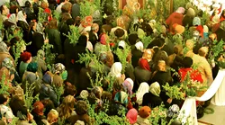 Galerie foto - Poza #4