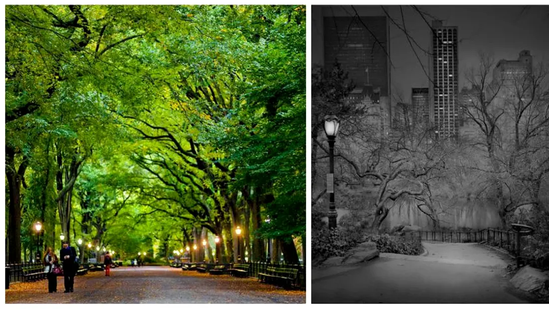Cum arata Central Park din New York, pe timp de noapte! Imaginile astea iti vor da fiori