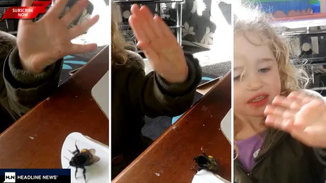 O fetita de 3 ani i-a salvat viata unei albine! Insecta i-a facut cu mana! VIDEO-ul a devenit viral! Nu ai mai vazut asa ceva!