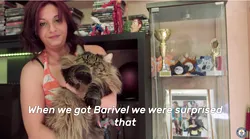 Galerie foto - Poza #4