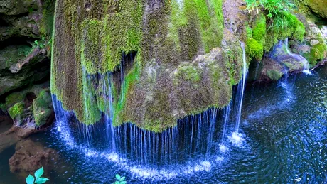 Superba Cascada Bigar, in pericol! Din cauza defrisarilor, 60% din suprafata Parcului National Cheile Nerei a fost afectata VIDEO