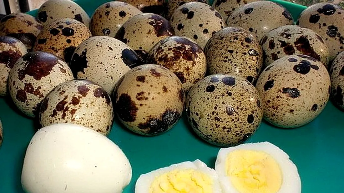 Beneficiile oului de prepelita: ce boli pot fi tratate cu ajutorul acestui aliment-minune