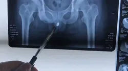 Galerie foto - Poza #4