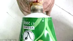 Galerie foto - Poza #4