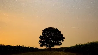 Horoscop 19 februarie 2019: Racii fac rost de o suma mare de bani!