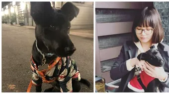 A salvat un caine si dupa 6 luni a avut parte de cel mai frumos cadou: VIATA! Povestea emotionanta a unui cuplu remarcabil