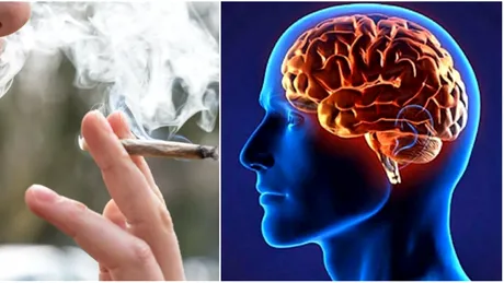 Ce se intampla cu creierul adolescentilor care fumeaza marijuana! Chiar si o singura data e periculos pentru ei! :O
