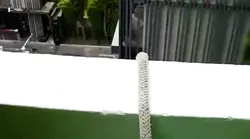 Galerie foto - Poza #4