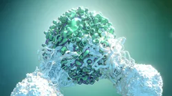 Galerie foto - Poza #3