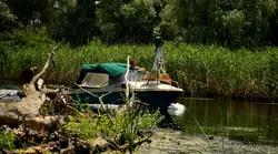Galerie foto - Poza #4