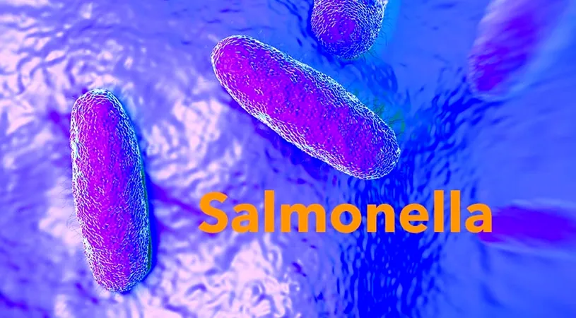 Un barbat a murit din cauza unei infectii cu salmonella, dupa ce a mancat ceva bizar