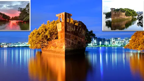 Padurea plutitoare veche de 104 ani. Unde se afla si cat este de superba