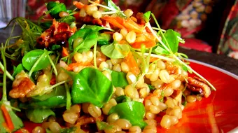 De ce este consumul de germeni sanatos? Efectele terapeutice pe care le are asupra organismului