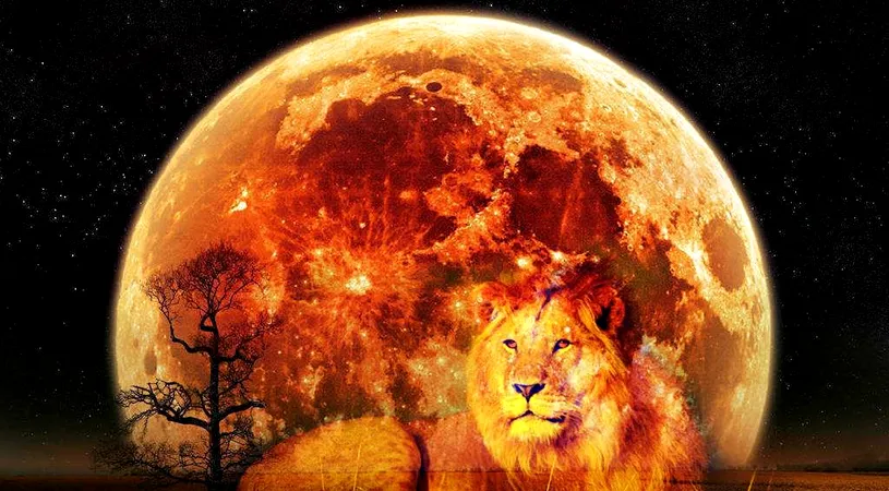 Horoscop 23 iunie 2018: Leii primesc noi propuneri in afaceri pe care nu trebuie sa le refuze!