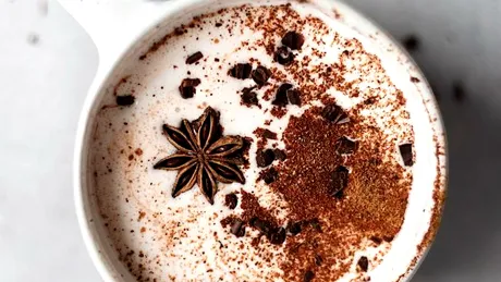 Cacao cu lapte si condimente, reteta vegana pentru zilele de iarna!