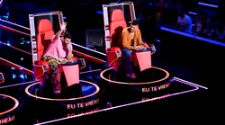 Galerie foto - Poza #2