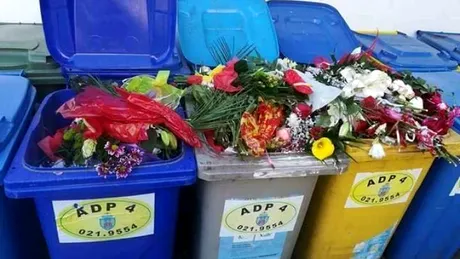 Fotografia care a făcut senzație pe Facebook! Flori aruncate la gunoi în prima zi de școală: Ați aruncat banii pe flori