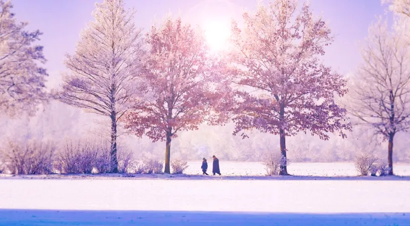 Horoscop 22 decembrie 2018: Racii trebuie sa fie prudenti in afaceri!