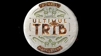 S-a aflat din cine va fi formata echipa vedetelor in emisiunea „Ultimul trib”!