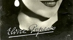 Galerie foto - Poza #3