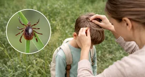 Cum ferim copiii de căpușe. Sfaturi simple care pot preveni probleme grave