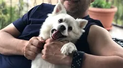 Galerie foto - Poza #4