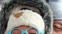 Galerie foto - Poza #4