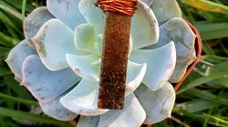 Galerie foto - Poza #4