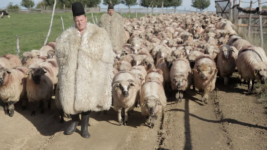 Fiul lui Ghita Ciobanu ii seamana leit! Cat de frumos este micutul