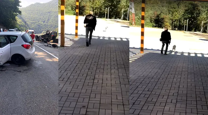 Emotionant! Un caine isi reintalneste stapanul dupa 5 saptamani. Animalul se pierduse dupa un accident rutier pe Valea Oltului