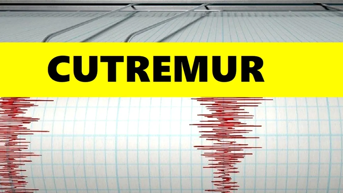 Cutremur în Buzău 22 martie 2019. A avut magnitudinea de 3,5 pe scara Richter