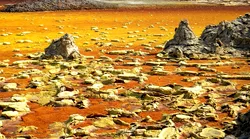 Galerie foto - Poza #4