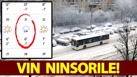 E oficial, vine iarna în România! Meteorologii anunță data exactă când va ninge prima dată în București. E mai devreme decât în alți ani