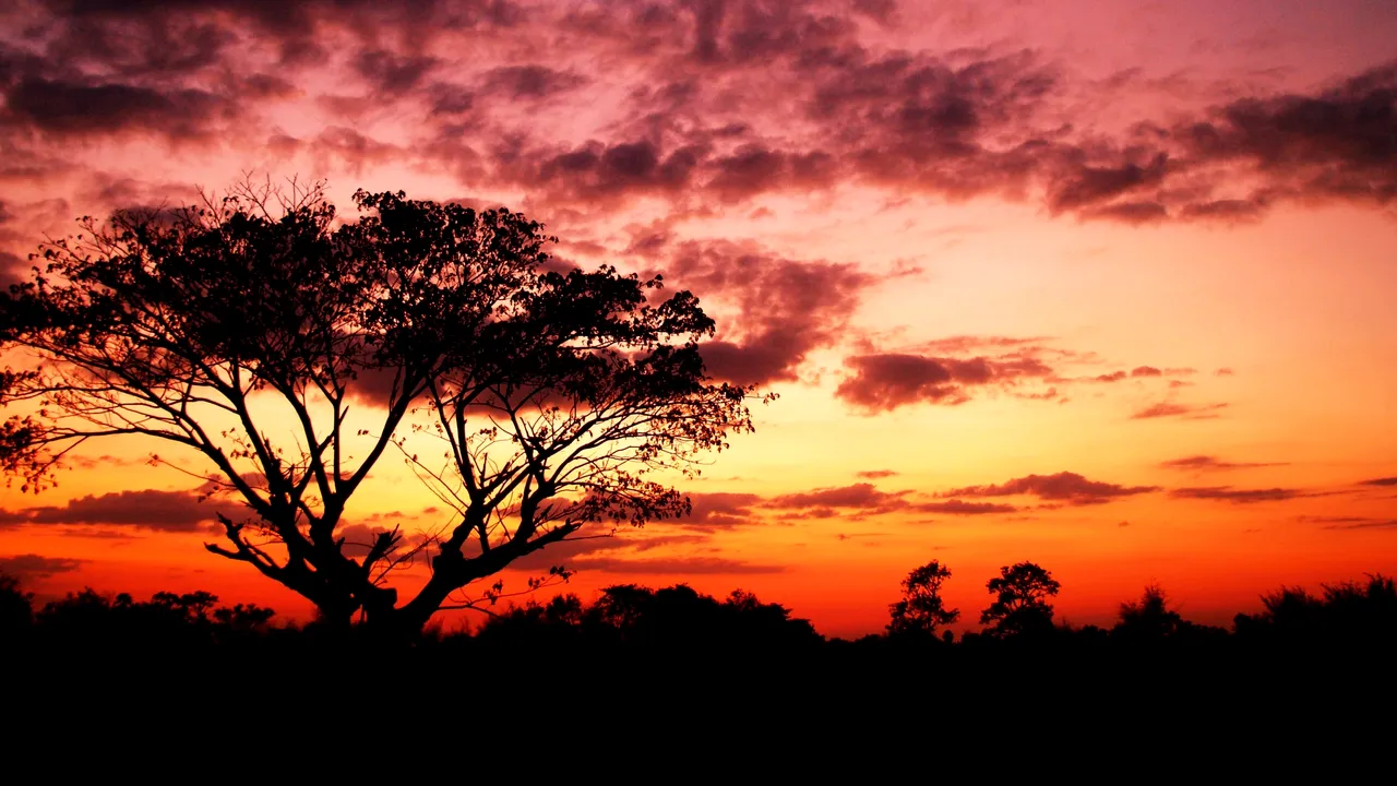 horoscop 28 octombrie 2018 