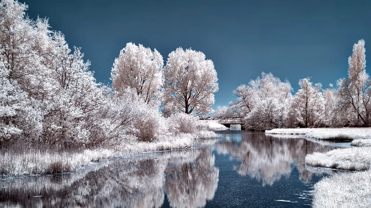 horoscop 23 decembrie 2018 
