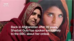 Galerie foto - Poza #4