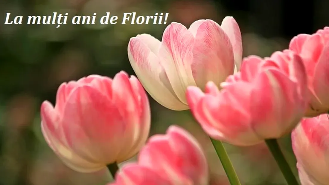 Mesaje de Florii. Cele mai frumoase SMS-uri, urări și felicitări pe care poți să le trimiți oamenilor dragi
