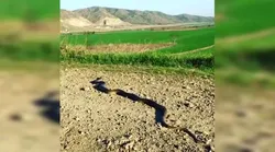 Galerie foto - Poza #4