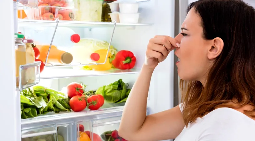 Cum să scapi de mirosul neplăcut din frigider. Trucuri geniale și ieftine pentru gospodine